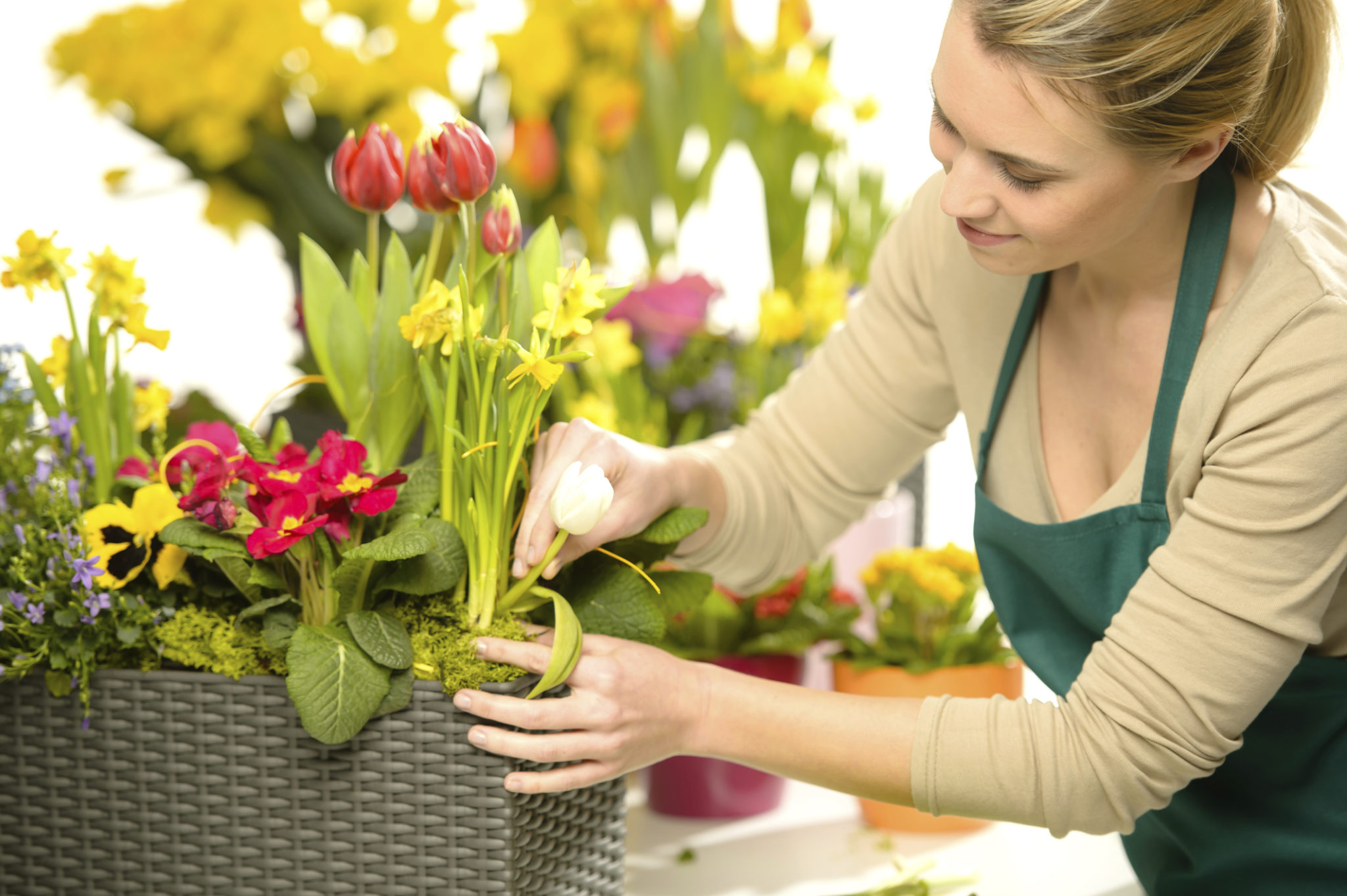 four-tips-to-choose-a-good-florist-in-your-area-littlelioness