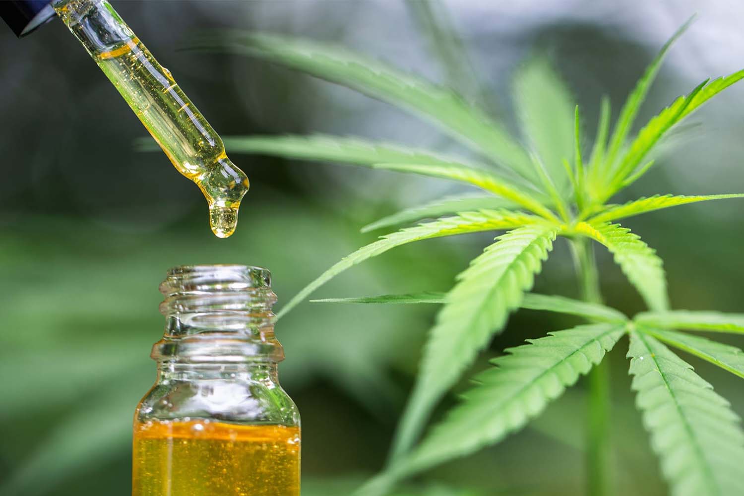 CBD Oil may help with Cramps ~ littlelioness