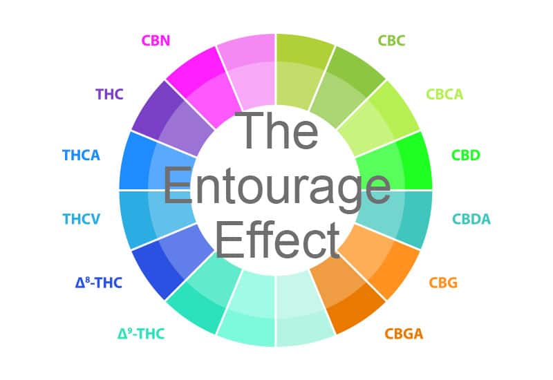 The CBD Entourage Effect: How It Can Change Your Life