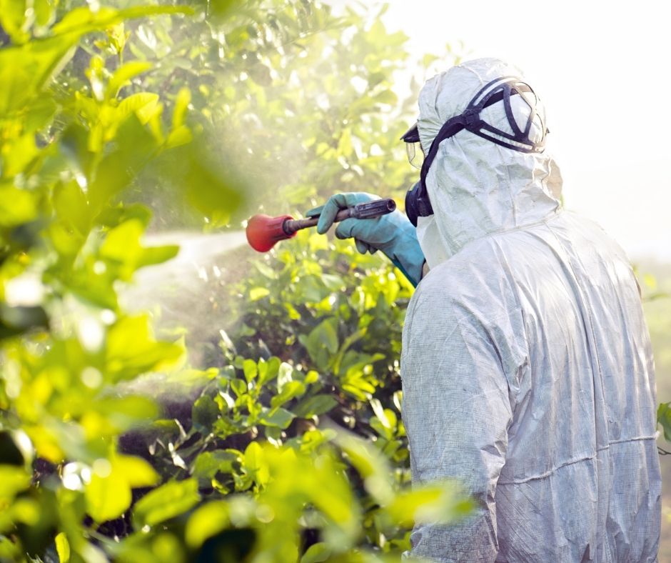 Fumigation treatments to fight off pests
