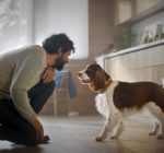 6 Dumb Mistakes Pet Owners Make