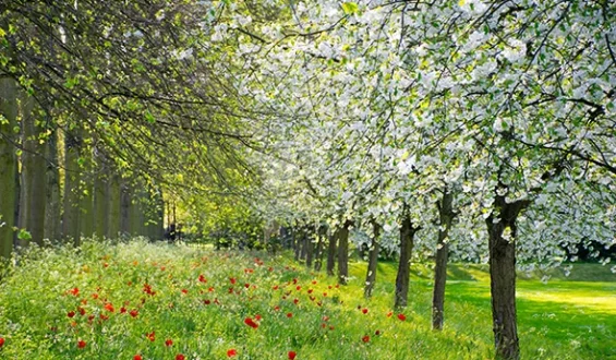 5 Ways to Make Your Home Safer This Spring