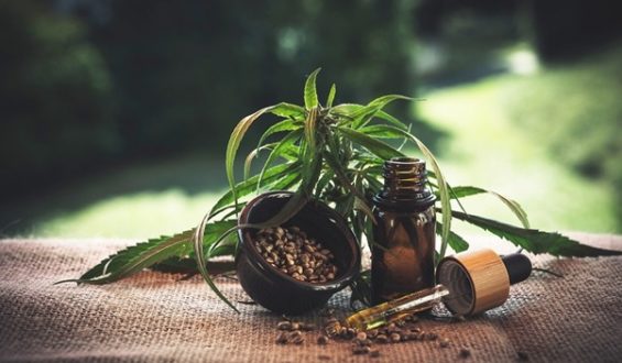 The therapeutic role of CBD in enhancing psychological well being