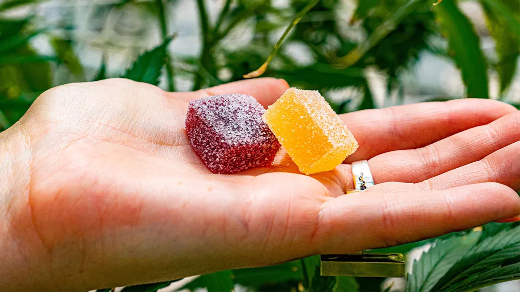 CBD Gummies Vs. Oil: Which Delivery Method Is Right for You
