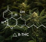 Why are Vape Cartridges a Better Choice?