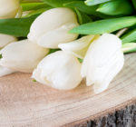 The Most Popular Flowers For Expressing Sympathy