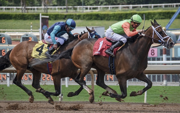 5 Myths and Facts About Betting on Horse Races