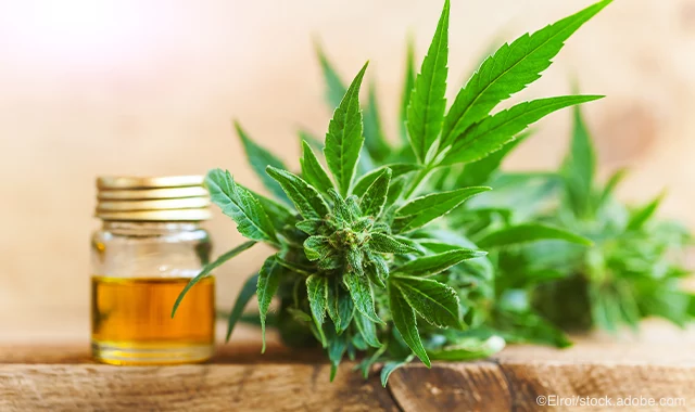 What Are The Benefits Of High Potency CBD Oil?