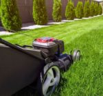 11 Cost Efficient Curb Appeal Tips From a Lawn Care Company