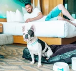 Finding And Staying At A Dog Friendly Hotel