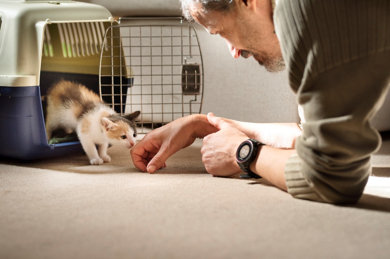 Bringing a new pet home: the importance of those first days and weeks
