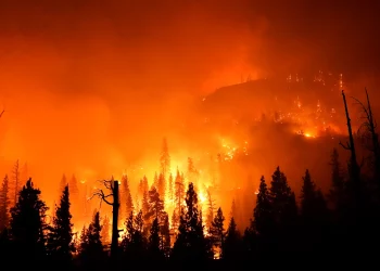 wildfire lawyer in California