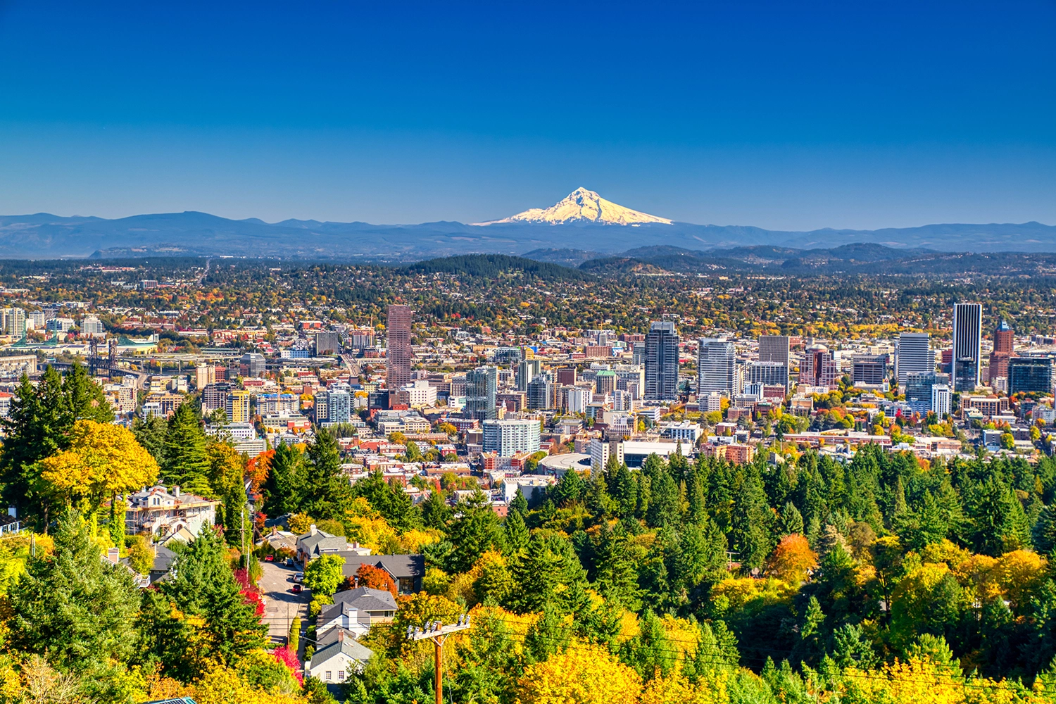 Top 5 Budget Tips for Your Next Trip to Portland