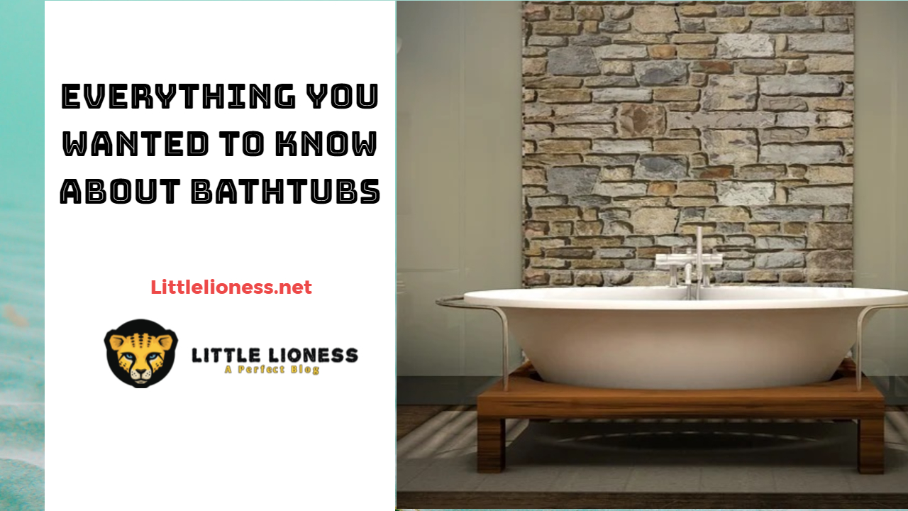 Everything You Wanted To Know About Bathtubs