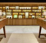 4 Surprising Facts on Medical and Recreational Cannabis Dispensary