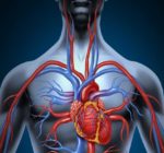 How to Improve Circulation (and Why It’s Important)