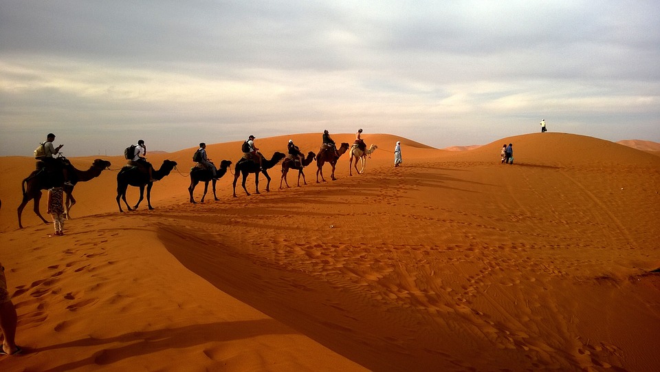 5 Best Things Desert Safari Offers in Dubai