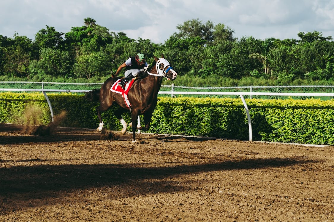 5 Tips on How to Handle a Losing Streak in Horse Racing