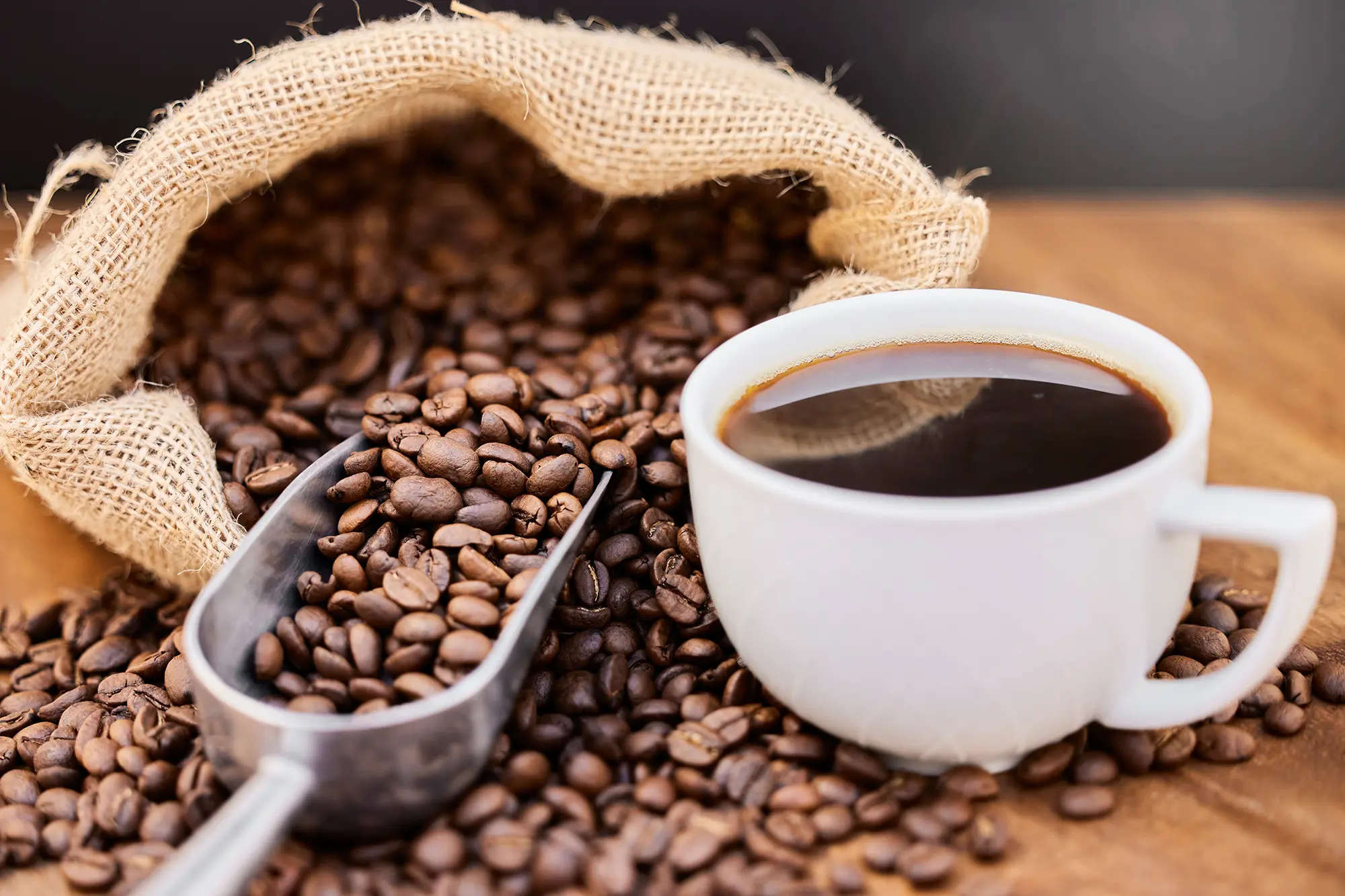 The Ultimate Guide to Making the Perfect Cup Of Coffee