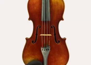 viola