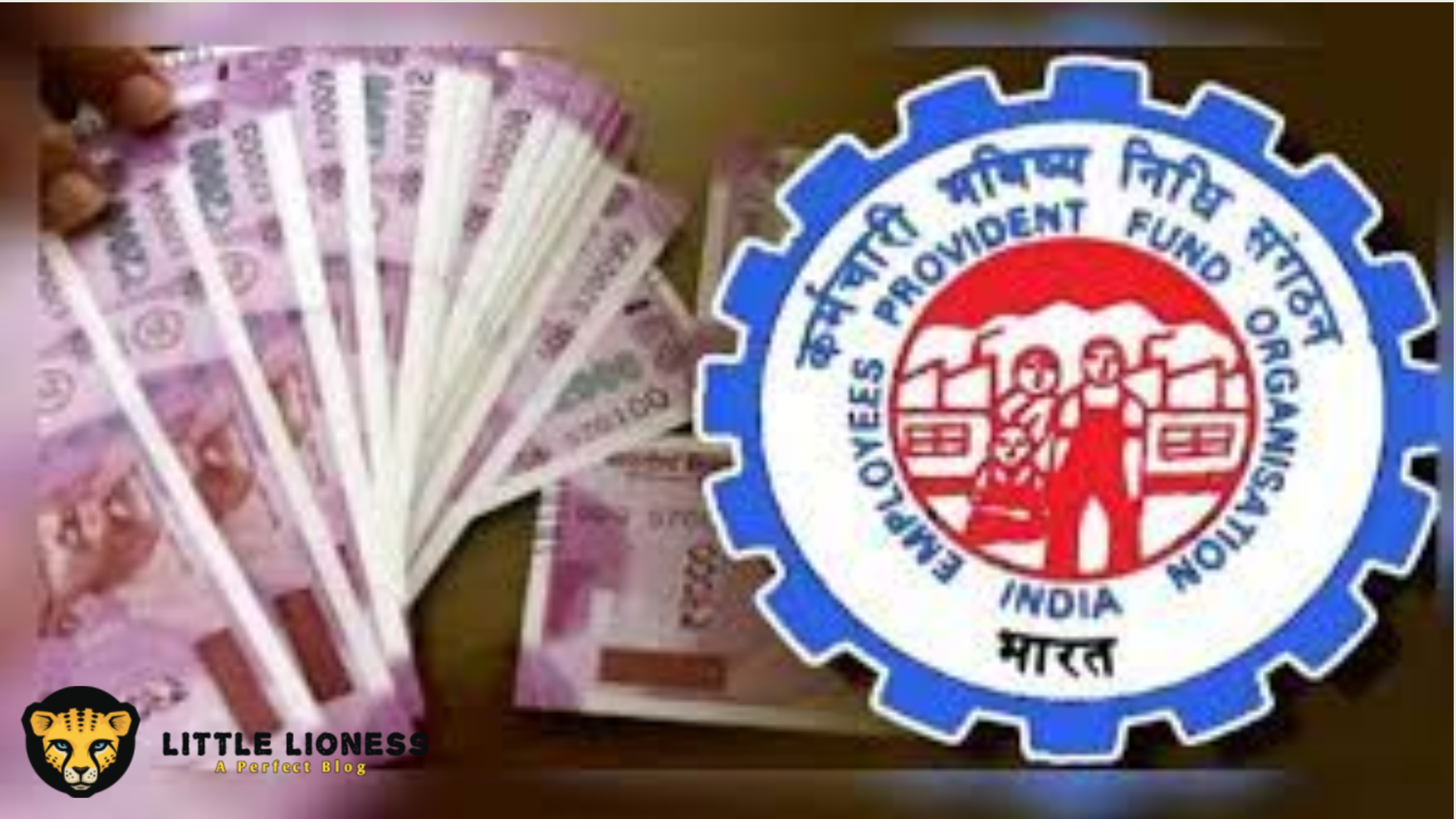 Everything you need to know about EPFO Member Portal
