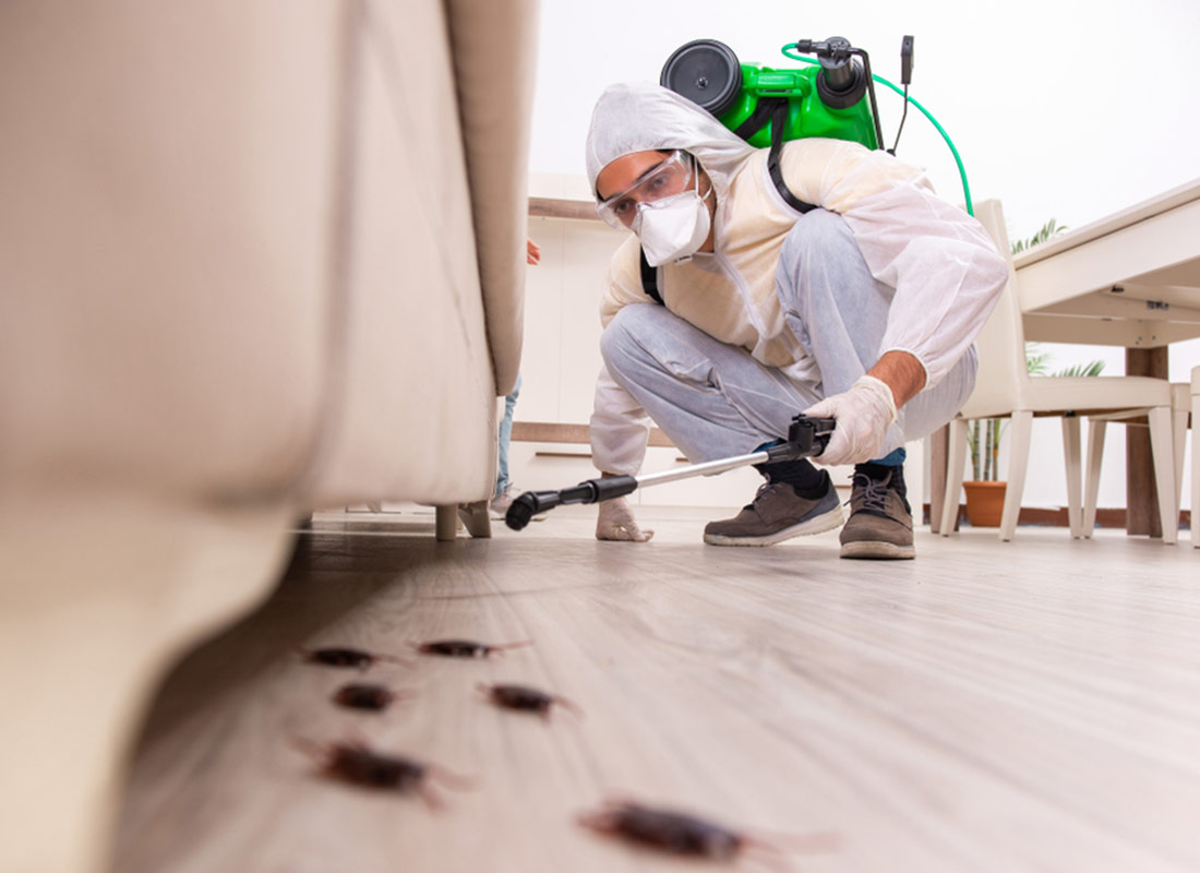 How to Choose the Right Pest Control Company for Your Needs