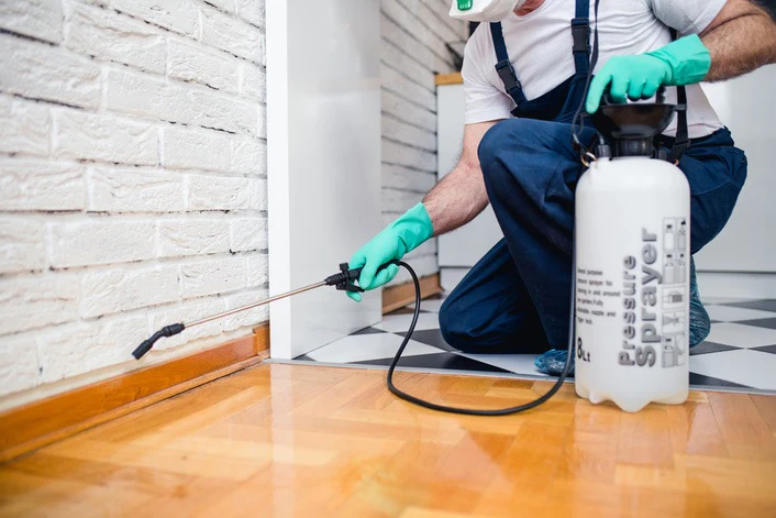 How a Local Connecticut Pest Control Company Can Help Manage Pests in your Home