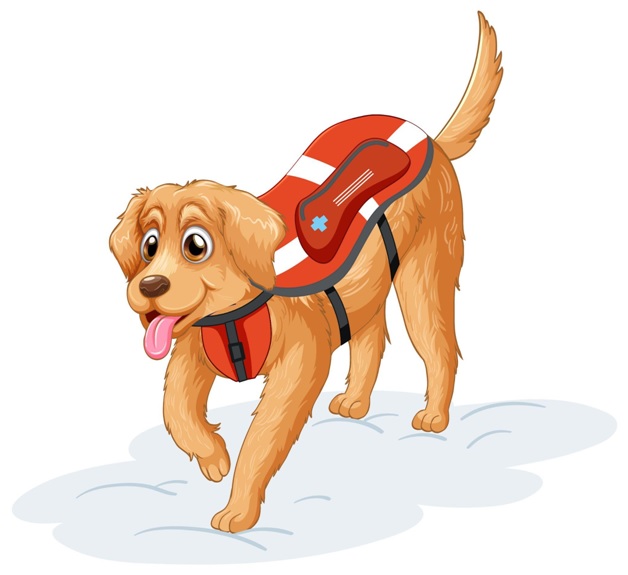 DOG LIFE JACKETS: HOW TO KEEP YOUR DOG SAFE IN WATER