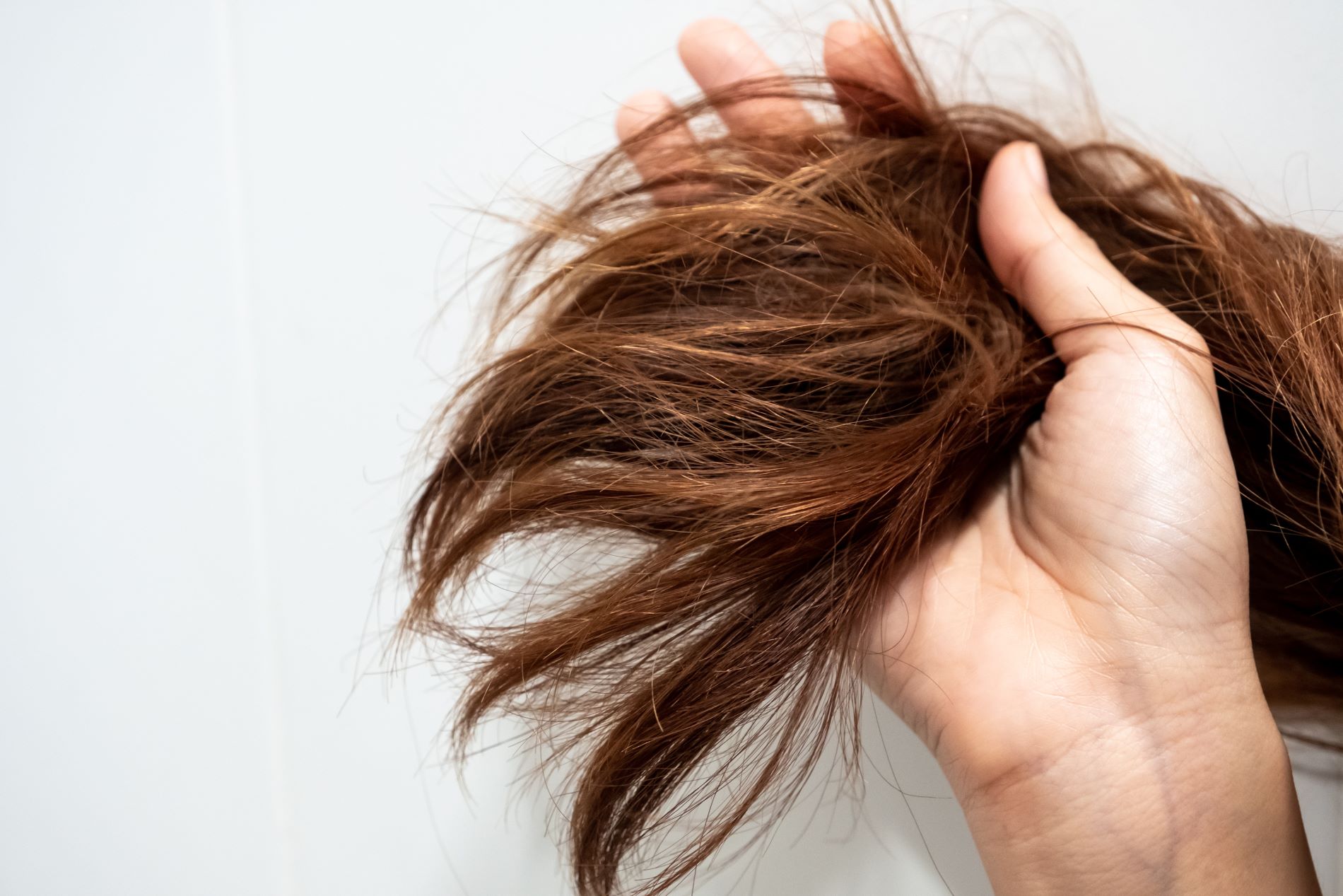 Essential Tips For Repairing Damaged Hair
