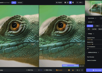 Topaz Gigapixel AI before and after upscaling example