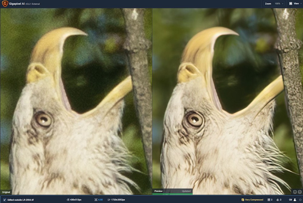 AI upscaled photo detail comparison with Gigapixel AI