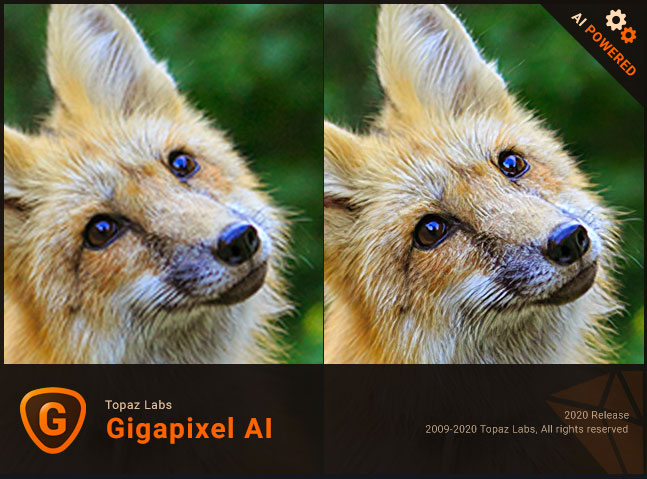 Topaz Gigapixel AI before and after upscaling example