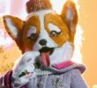 Masked Singer Spoilers: Queen Corgi Unmasked After Stunning Self-Elimination on The Masked Singer