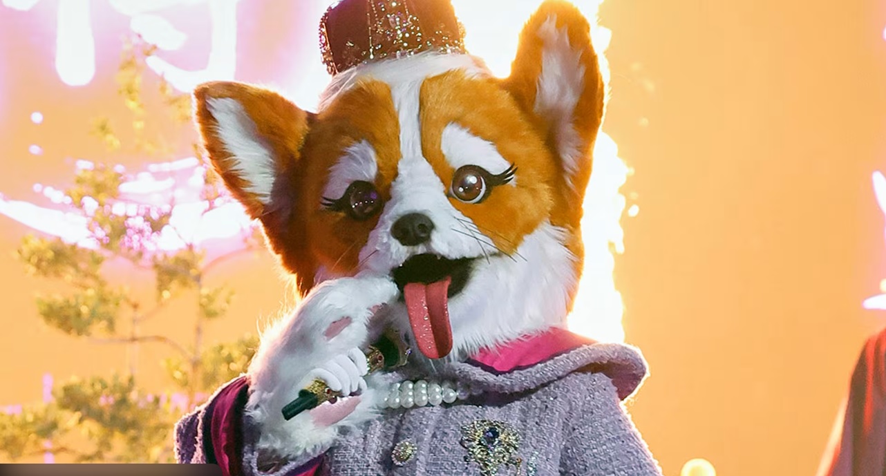 Masked Singer Spoilers: Queen Corgi Unmasked After Stunning Self-Elimination on The Masked Singer