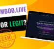 Streamboo: What Is It and Is Streamboo Safe to Use?