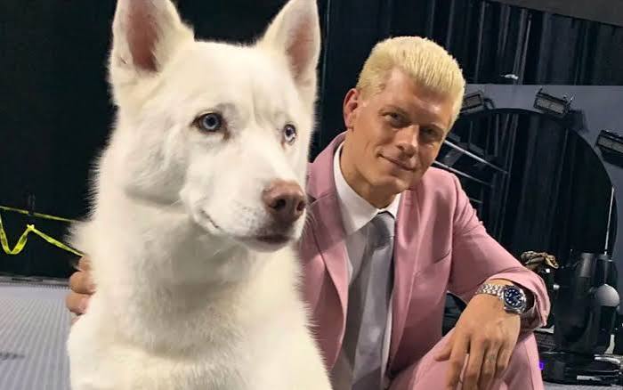 Cody Rhodes Dog: The Story of Pharaoh, His Life, and Wrestling Legacy